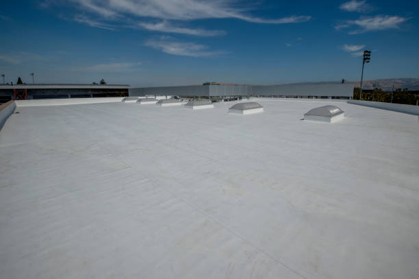 Best Cold Roofs  in Lexington, MS