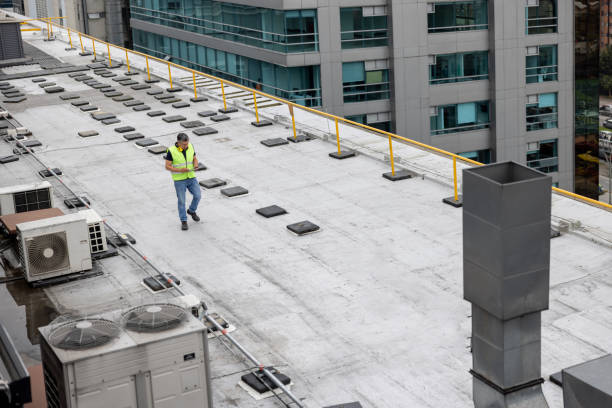 Best Skylight Installation and Repair  in Lexington, MS