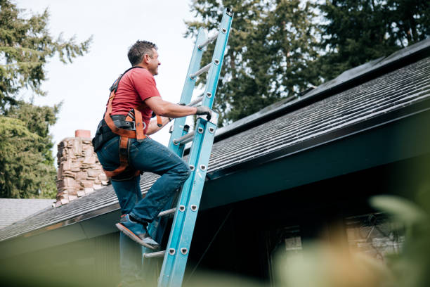 Best Asphalt Shingles Roofing  in Lexington, MS
